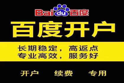 百度推广策略揭秘：某行业领头羊的成功经验